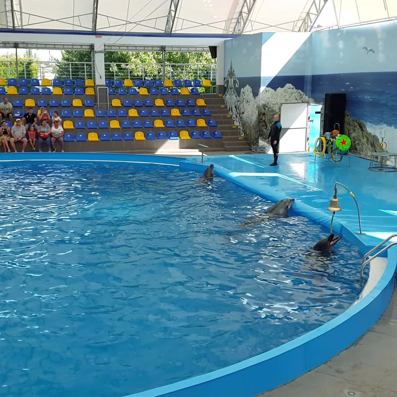Odessa, Ukraine - August 2017: Dolphins play in the Dolphinarium. Representation in the Dolphinarium. Show of dolphins.