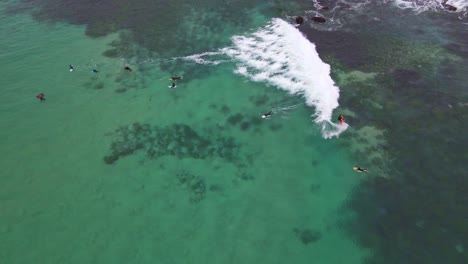 Vista-Superior-De-Un-Turista-Surfeando-En-Bronte-Beach-En-Nsw,-Australia