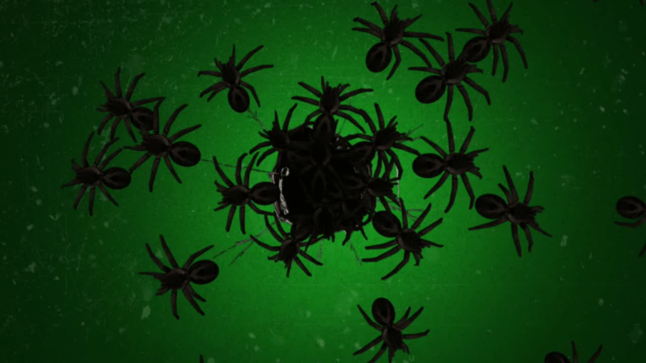 gráficos de movimiento de araña espeluznante con fondo de pantalla verde