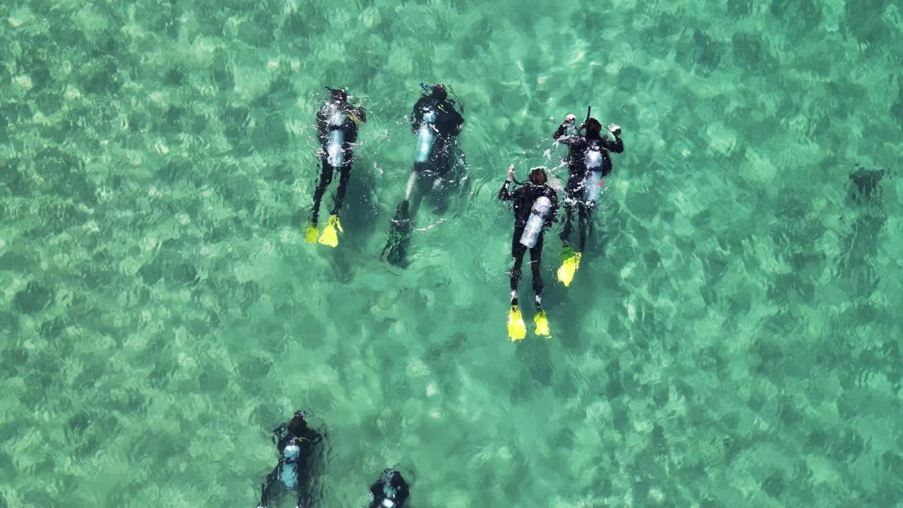 열대 섬 의  ⁇ 은 물 에서 스쿠버 다이빙 을 배우는 사람 들 의 집단