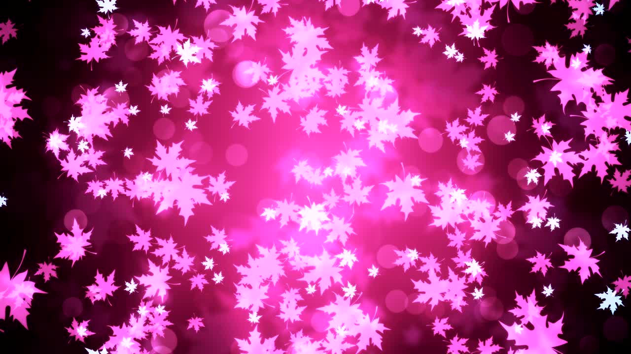 보라색 메이플 잎