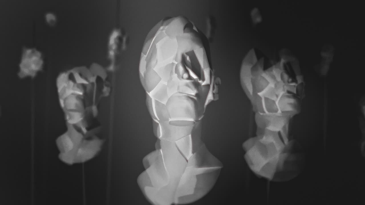 Broken mannequin head shells in xray