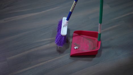recogiendo basura del suelo con la pala y la escoba