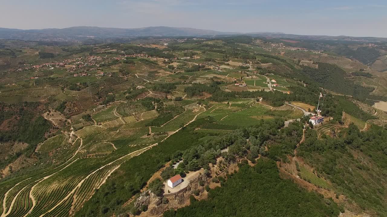 포르투갈 alto douro vinhateiro 지역의 유명한 녹색 포도원 산을 날다