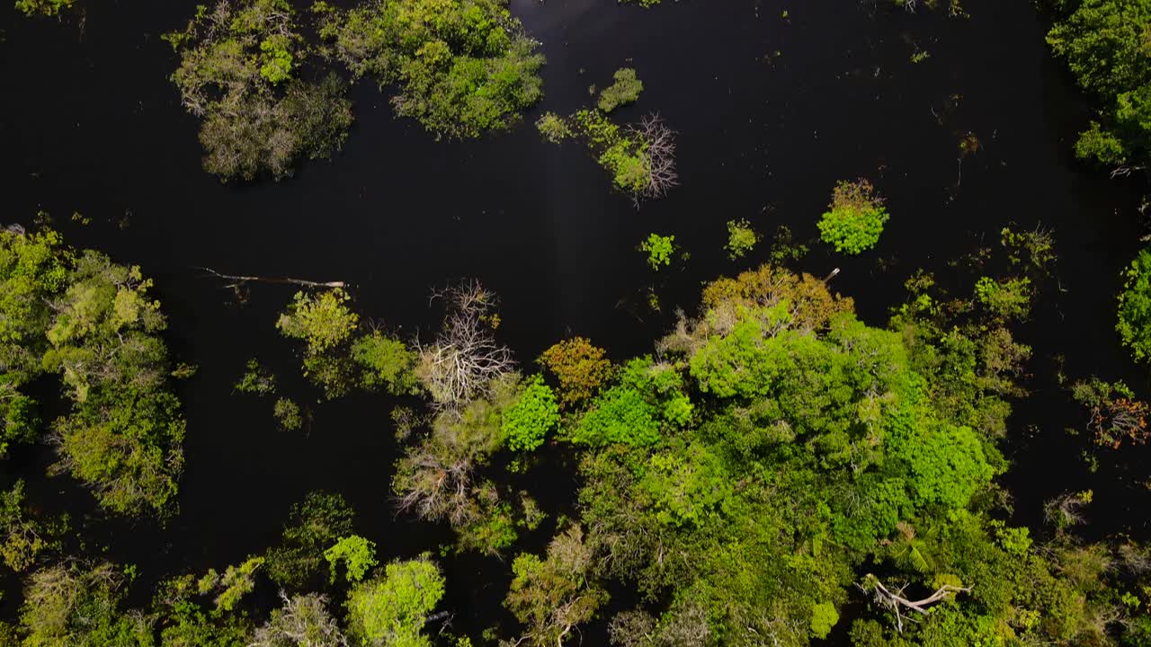 Top-down aerial passing over vibrant green canopy and a lone floating house. The high contrast between the deep black Rio Negro and green jungle creates striking visual
