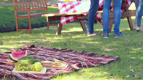 family on a picnic in the park