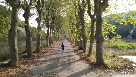 Herbstparksport-Laufen