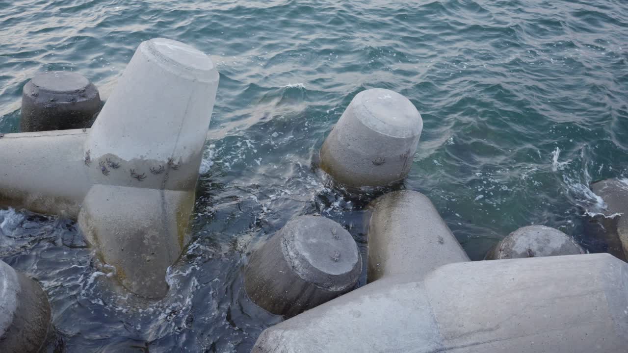 해안 근처의 브레이커에 많은 크래브