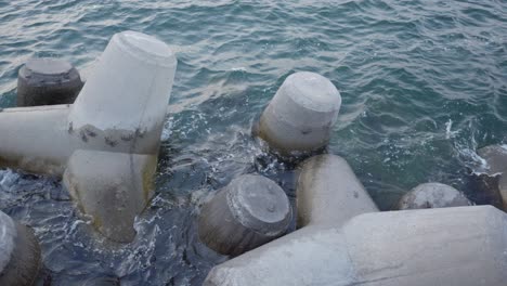 muchos cangrejos en rompeolas frente a la costa