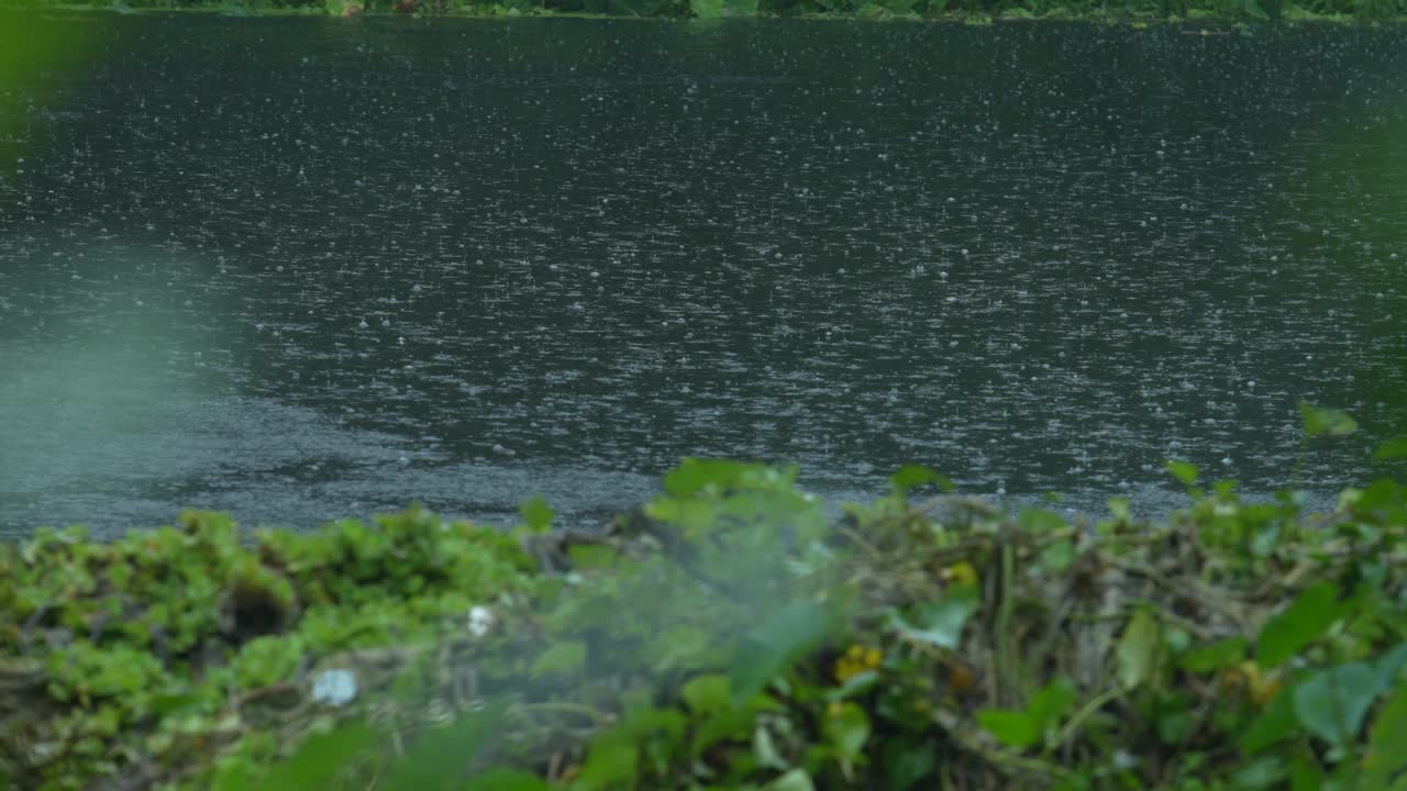 Due to the influence of the southwest monsoon, various parts of India experience heavy rainfall during the monsoon season