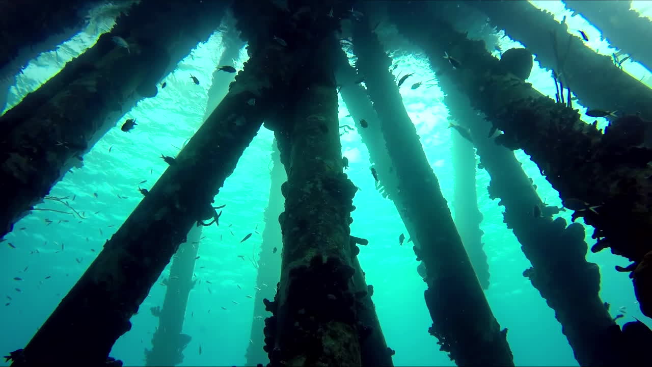 pilares de muelles submarinos con peces y rayos de sol que atraviesan el agua