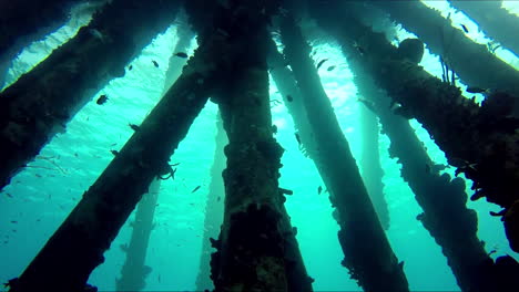 Pilares-De-Muelles-Submarinos-Con-Peces-Y-Rayos-De-Sol-Que-Atraviesan-El-Agua