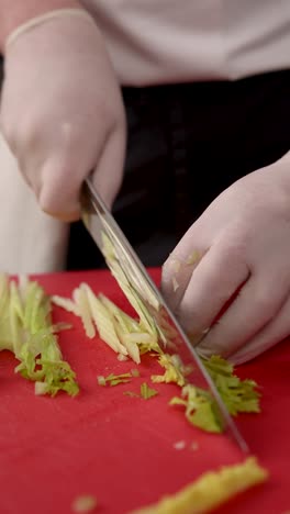 chef chopping celery and salad