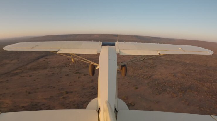 Bushfly flyver over tør savanne