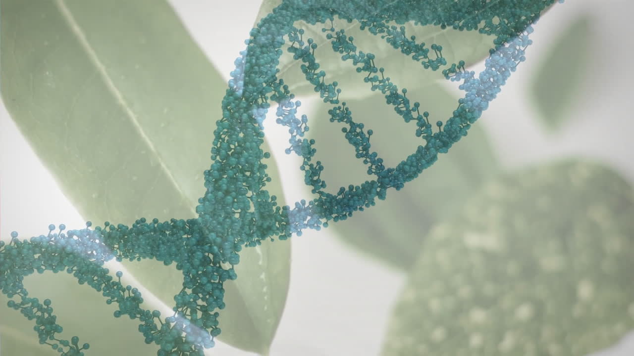 DNA strand and molecular structure animation over green leaves background
