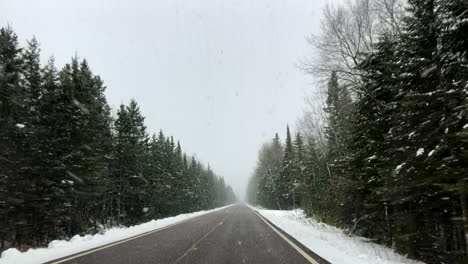 driving through the woods in the snow