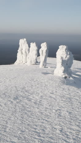 ice sculptures on a snowy mountaintop