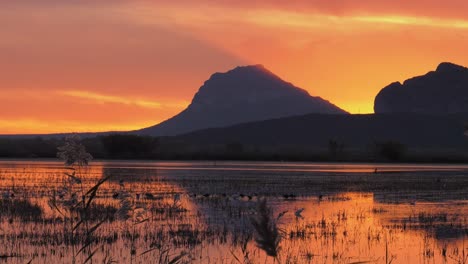 Morgenhimmel-über-Geschützten-Feuchtgebieten,-Spanien