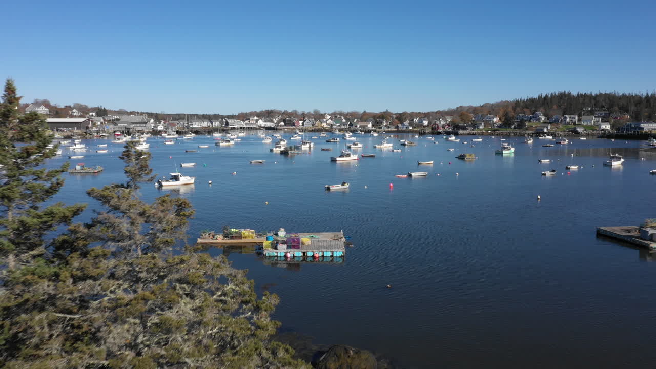 sobrevuelo aéreo revela imágenes de drones sobre las copas de los árboles que revelan barcos estacionados en la costa de maine en vinalhaven, islas fox, condado de knox, maine, estados unidos