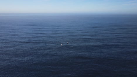 two boats drifting out in the deep blue sea on a clear day