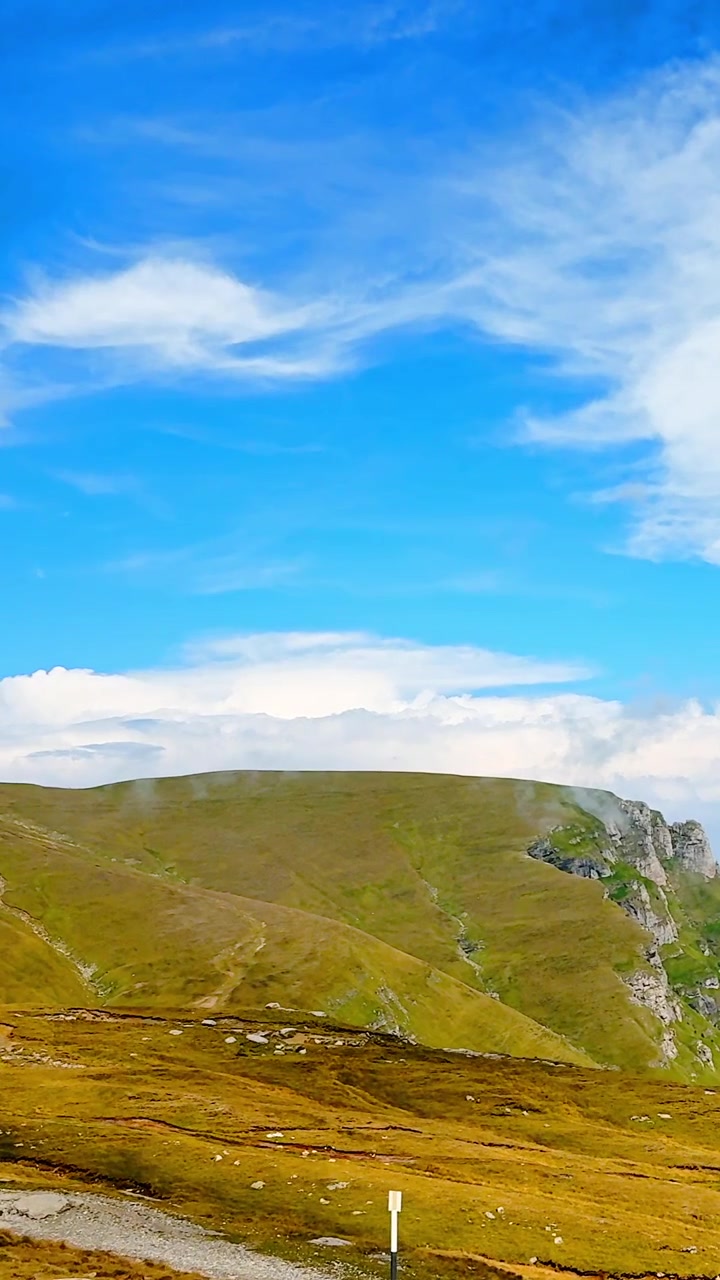 Prospettiva elevata di un altopiano ad alta quota nei Carpazi, Romania. Collina erbosa ondulata, roccia sparsa e nuvole bianche nel cielo blu. Video verticale.