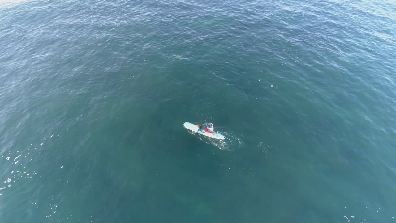 una surfista en forma rema más profundamente en el océano después de esperar una pausa cerca de la costa de méxico - toma aérea