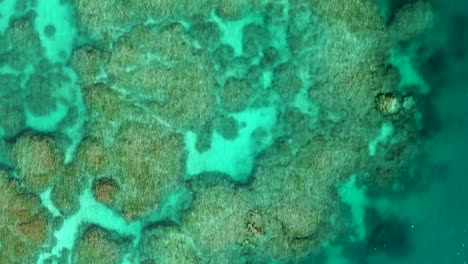 aerial left tracking vertical shot of crystal clear waters and coral reefs of new caledonia