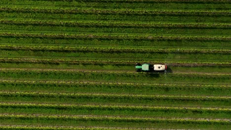 top-down view of tractor machinery spraying fertlizer on vineyard