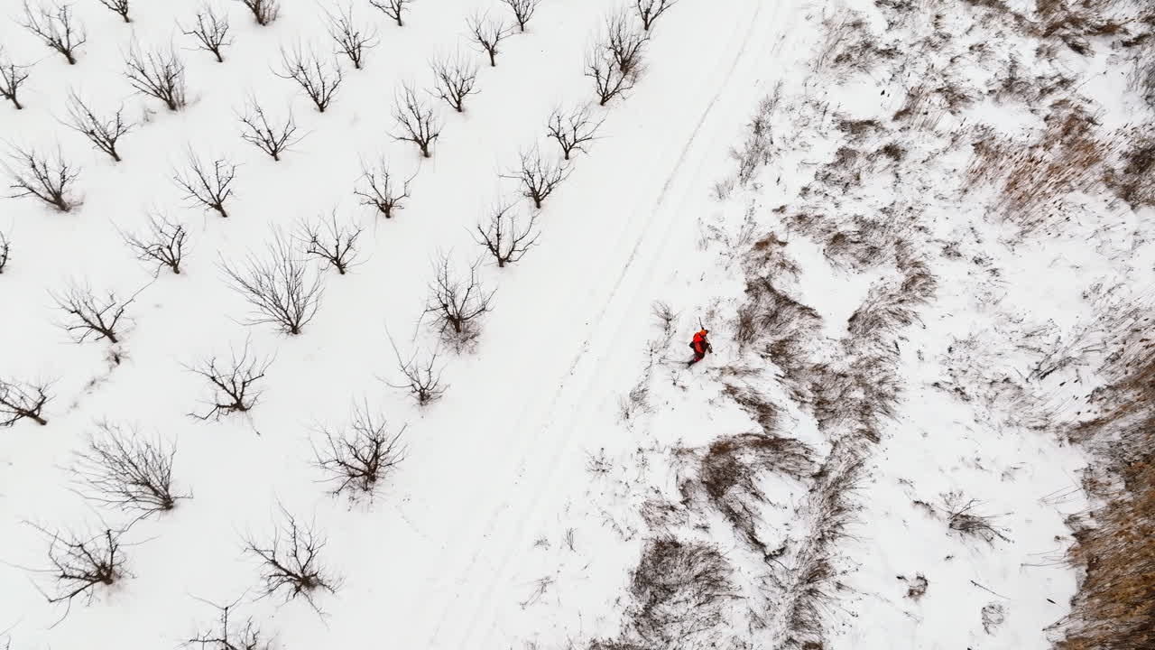 Aerial drone view of a male hunter with a gun in his hand looking for an animal in a field during the winter. Ground covered in snow