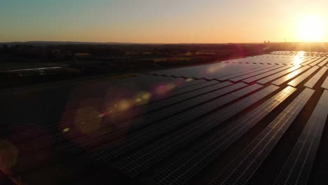 solar farm at dawn