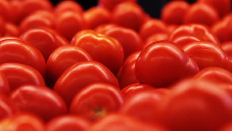 primer plano de los tomates crudos