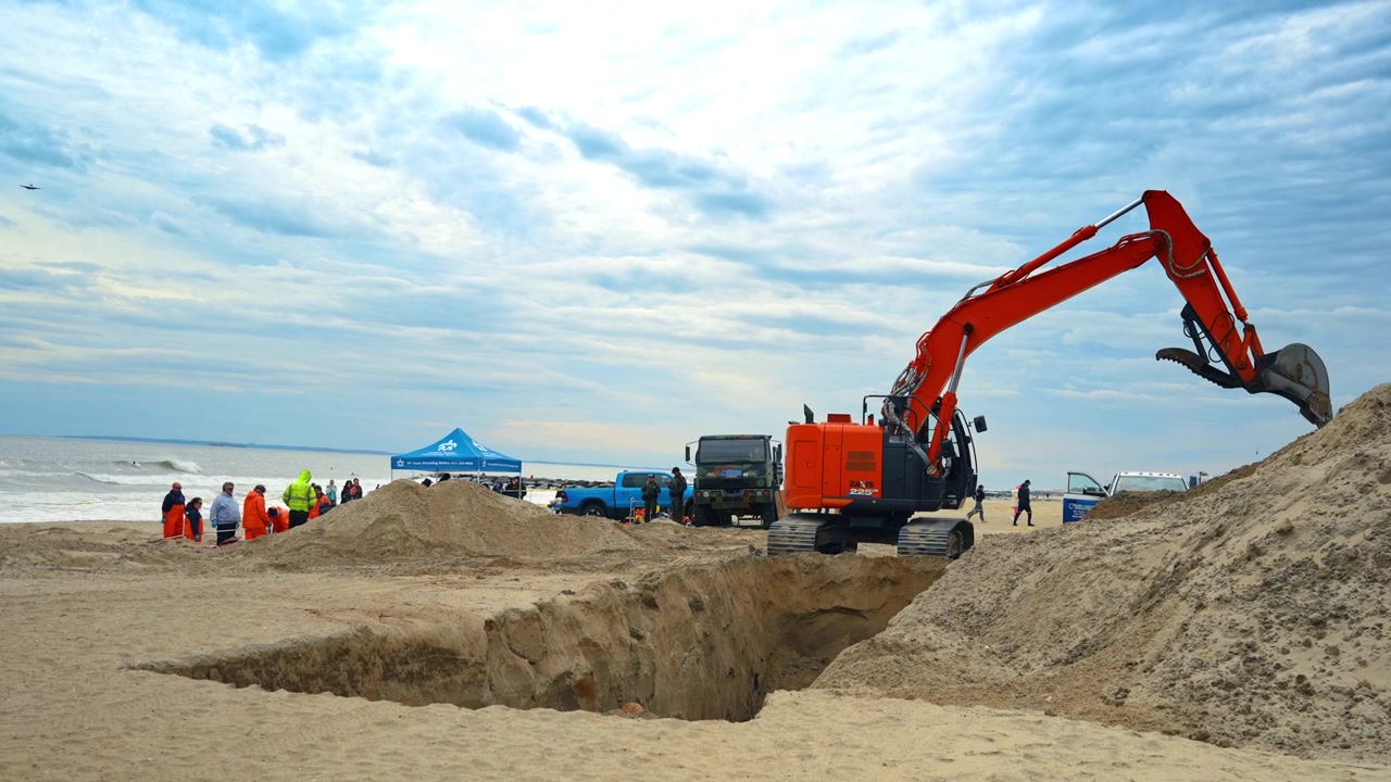 New York, USA, 1 aprile 2026: Un escavatore pesante sposta sabbia vicino alla spiaggia di un sito di ricerca marina. Il braccio arancione dell'escavatore è sollevato sopra una grande fossa con scienziati e una tenda blu sullo sfondo della riva.