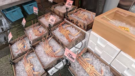 assorted seafood for sale at an outdoor market