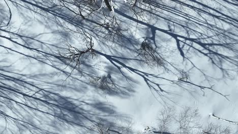 aerial establishing shot of japan snowy valley near the nagano myoko yamanochi region