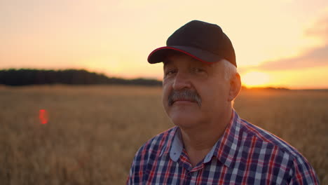 portrait of a smiling senior adult farmer in a cap in a field of cereals. in the sunset light an elderly man in a tractor driver after a working day smiles and looks at the camera.