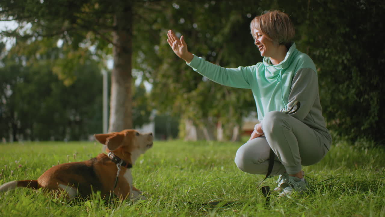 Instructor kneeling on grassy field snapping nails to gain pet attention while lifting hand for handshake during dog training session in bright outdoor park surrounded by trees in sunny weather
