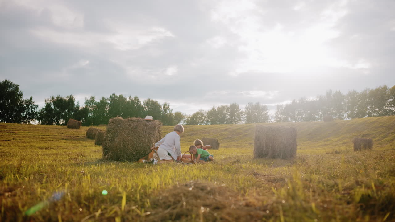 개방된 시골에서 담요 위에서 피크닉을 즐기는 행복한 가족, 풀에 둘러싸인, 카메라 플레어와 함께 따뜻한 빛 빛은 평화로운 분위기를 더합니다.