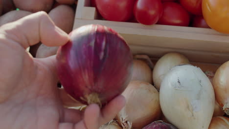 the buyer's hand takes onions from the counter, first person view