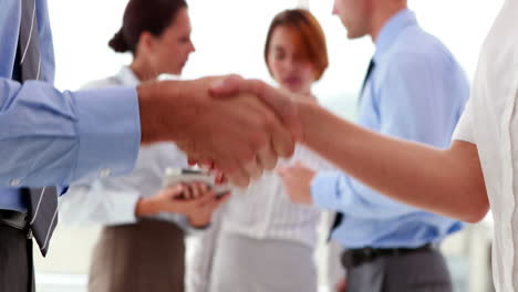 business people shaking their hands