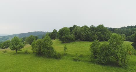 Flying-Over-The-Beautiful-Forest-Trees-Landscape-Panorama-57