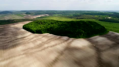 beautiful space landscape. aerial view of mystical green trees island on a field