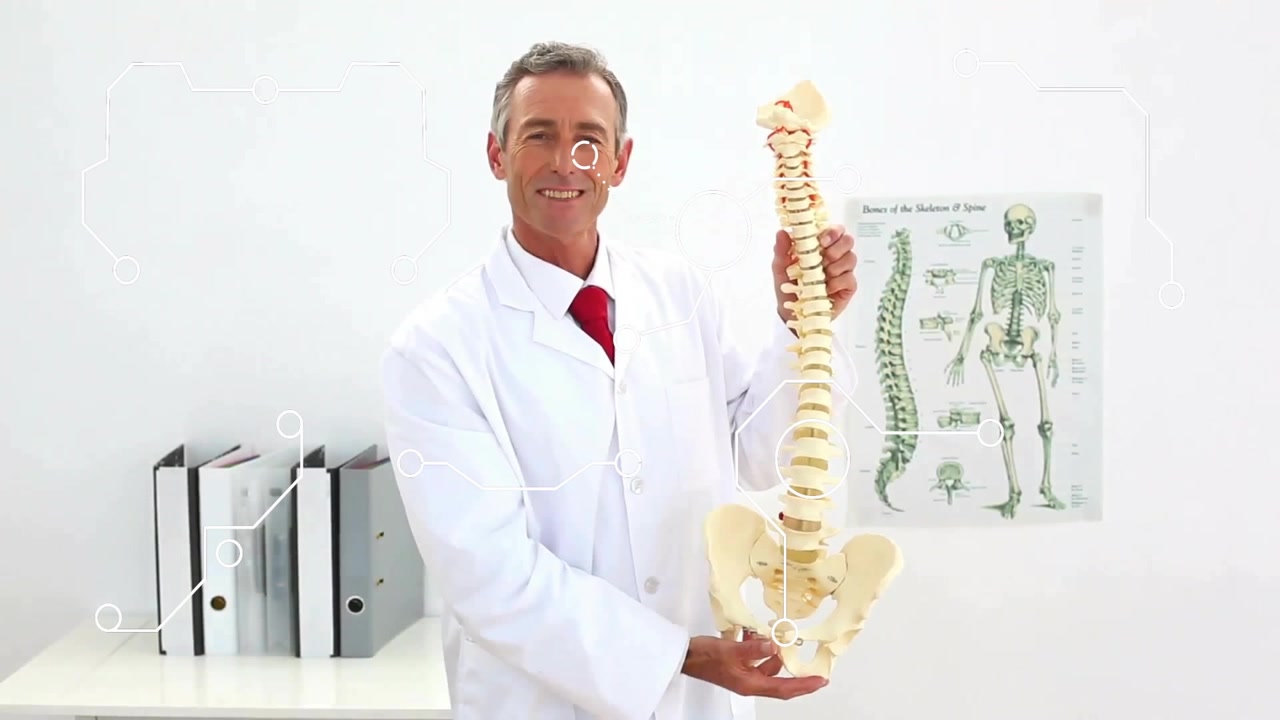 Profissional de saúde segurando um modelo de coluna vertebral que demonstra a curvatura das vértebras para educação em saúde.