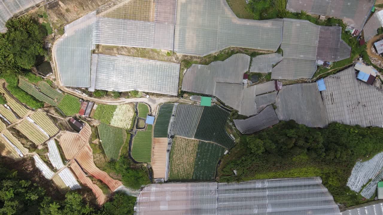 말레이시아의 카메론 하이랜드 지역 내의 브린창 지역의 일반 풍경