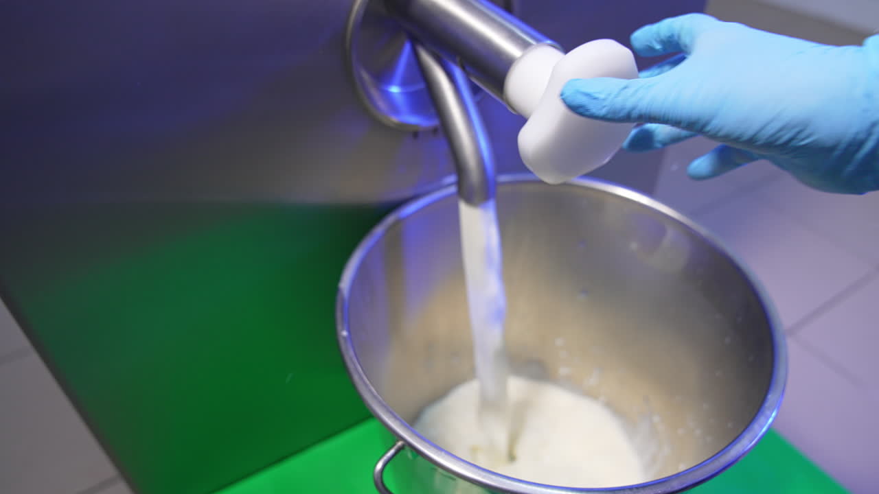 Worker at food factory opens the tap. Milk is poured into a metal bucket. Close up. Products for sweets production.