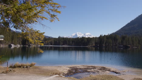 hintersee lake with dense conifer trees in germany. wide shot