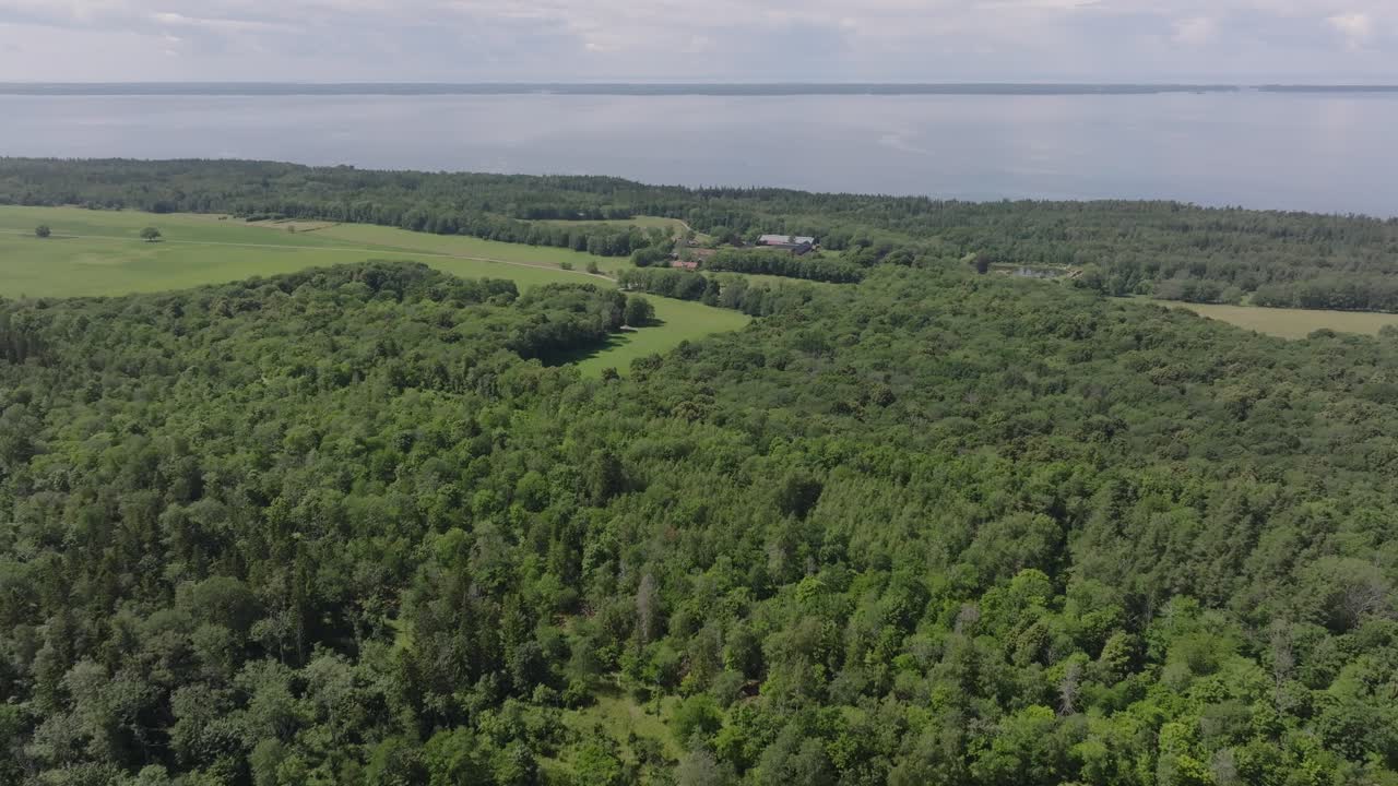 vista de arriba de los árboles exuberantes cerca de la cantera kinnekulle stenbrott en suecia