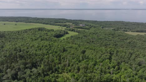 Above-View-Of-Lush-Trees-Near-Kinnekulle-Stenbrott-Quarry-In-Sweden