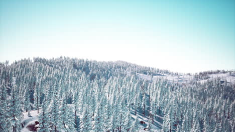 Herrliche-Alpenlandschaft-Im-Winter