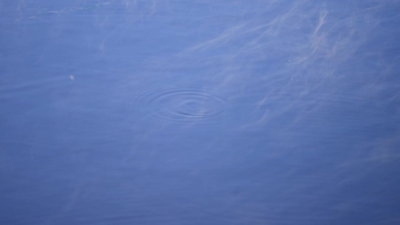 Superficie d'acqua blu calma con increspature causate da una goccia che cade