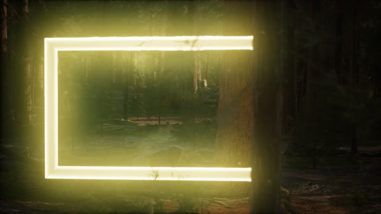 marco rectangular brillante de neón en el bosque nocturno